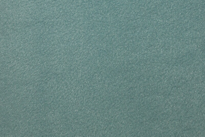 fleece Altmint